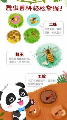 奇妙昆虫世界小游戏官方版下载,奇妙昆虫世界,儿童游戏,教育游戏
